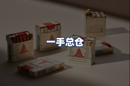 一手总仓